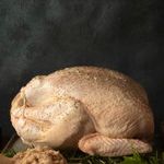 Turkey Image